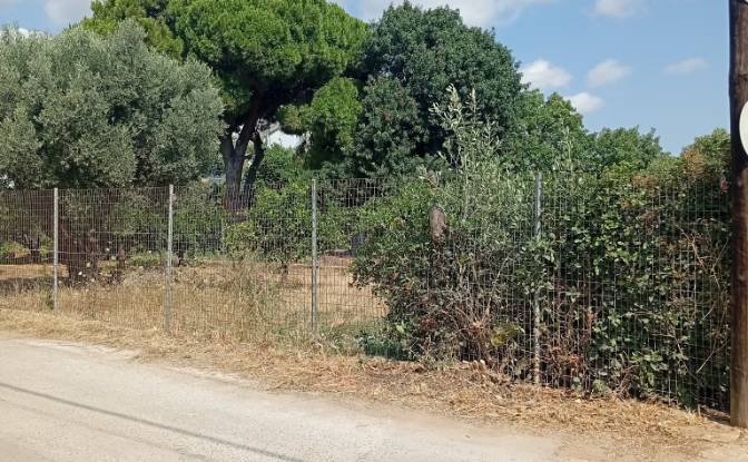 Lote de terreno en venta Megalocharis 1. Foto#3 Lote de terreno en venta Megalocharis 1. Foto#3