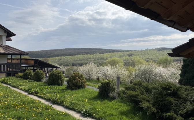 Mansion for Sale Aleea Capatanii 1, 555300. Photo#6 Mansion for Sale Aleea Capatanii 1, 555300. Photo#6