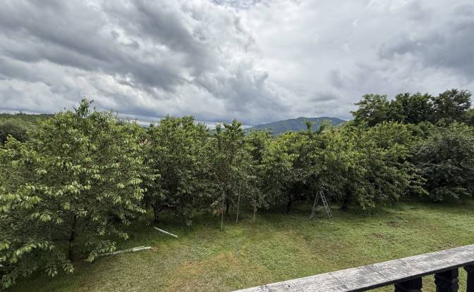 Mansion for Sale Aleea Capatanii 1, 555300. Photo#8 Mansion for Sale Aleea Capatanii 1, 555300. Photo#8