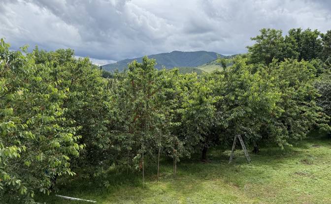Mansion for Sale Aleea Capatanii 1, 555300. Photo#9 Mansion for Sale Aleea Capatanii 1, 555300. Photo#9