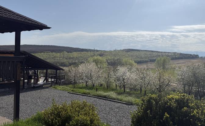 Mansion for Sale Aleea Capatanii 1, 555300. Photo#10 Mansion for Sale Aleea Capatanii 1, 555300. Photo#10