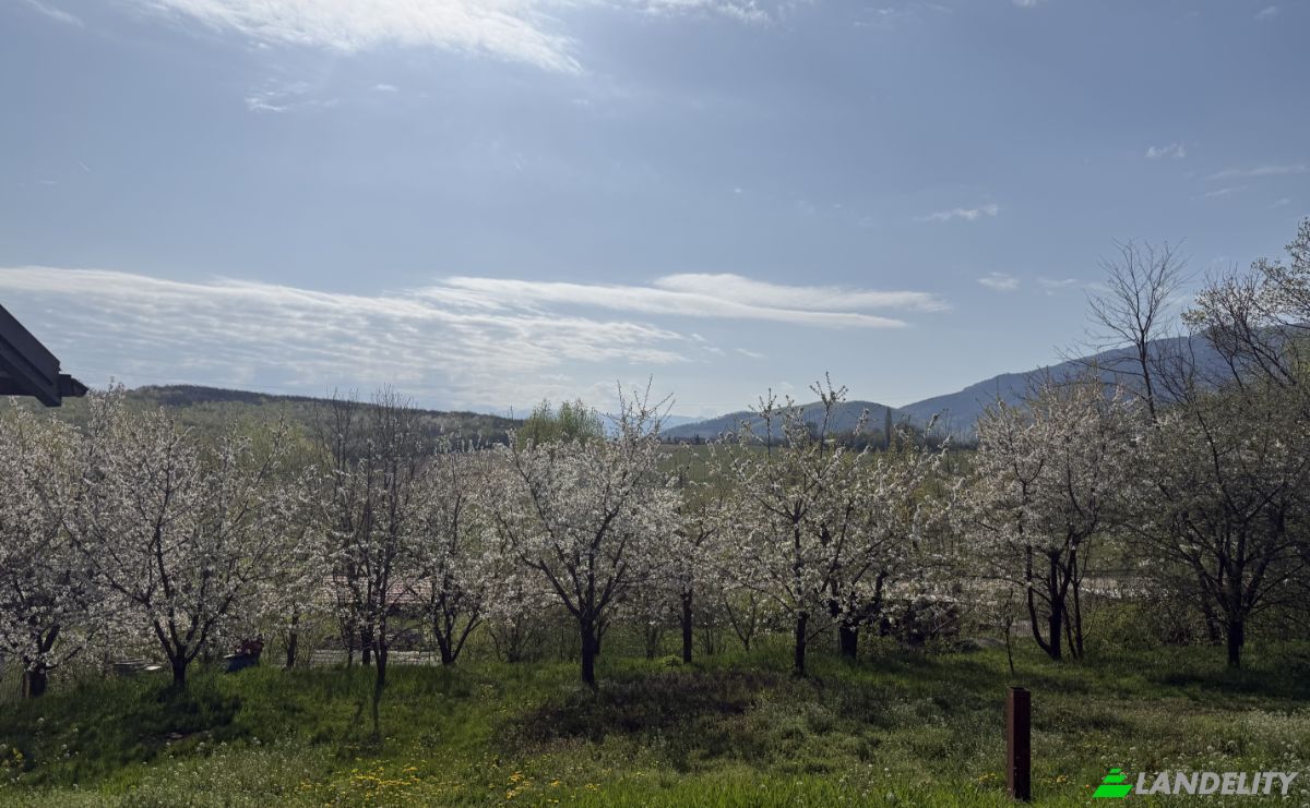 Mansion for Sale Aleea Capatanii 1, 555300, Cisnadie, Sadu, Sibiu, Romania. Photo 11