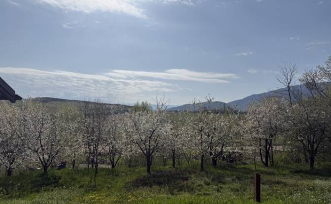 Mansion for Sale Aleea Capatanii 1, 555300. Photo#11 Mansion for Sale Aleea Capatanii 1, 555300. Photo#11