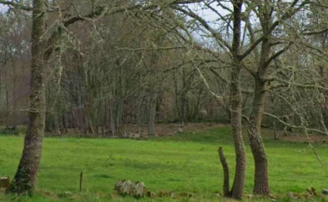 Land Lot for Sale Aldea Regoalde, Regoalde. Photo#2 Land Lot for Sale Aldea Regoalde, Regoalde. Photo#2