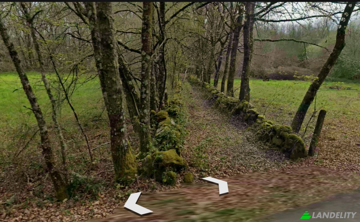 Land Lot for Sale Aldea Regoalde, Regoalde, Ourense, Province of Ourense, Galicia, Spain. Photo 3
