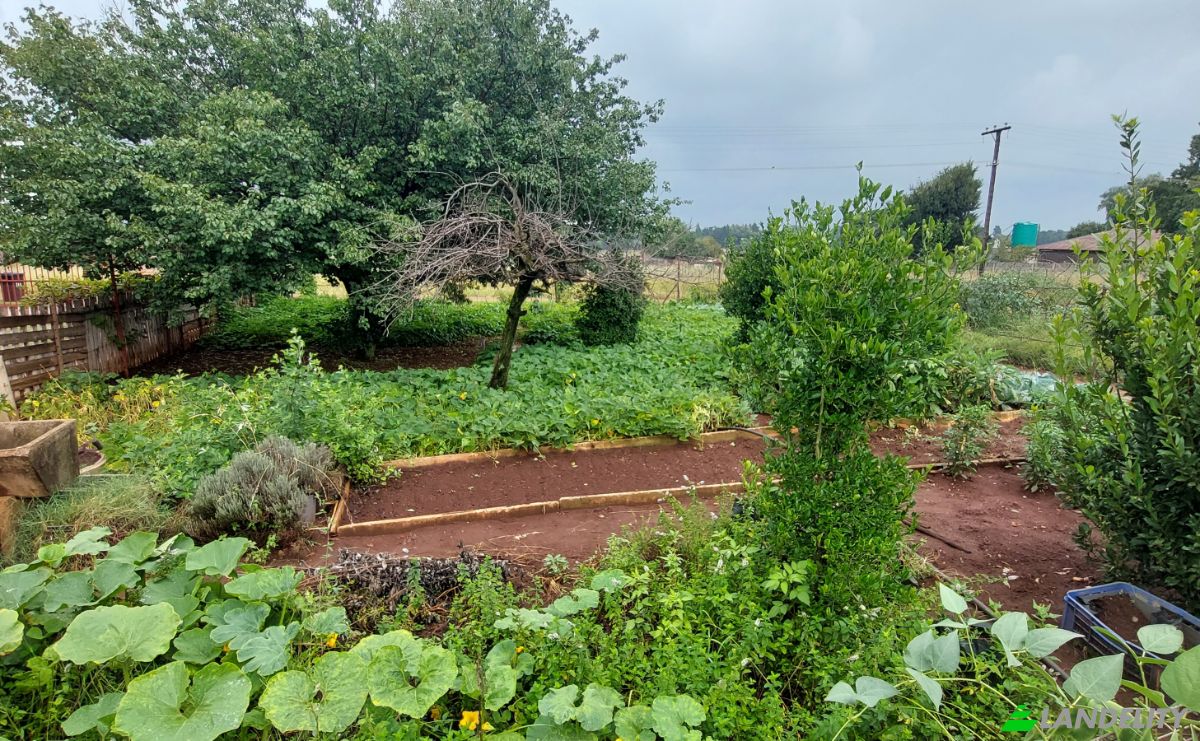 Земля/Ділянка продаж Aster Rd, Welgedacht SH, Springs, Ekurhuleni Metropolitan Municipality, Gauteng, South Africa. Фото 1