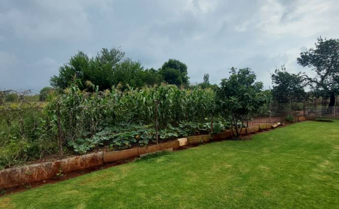 Земля/Ділянка продаж Aster Rd, Welgedacht SH. Фото#4 Земля/Ділянка продаж Aster Rd, Welgedacht SH. Фото#4