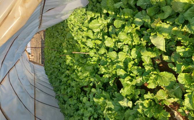 Земля/Ділянка продаж Aster Rd, Welgedacht SH. Фото#5 Земля/Ділянка продаж Aster Rd, Welgedacht SH. Фото#5