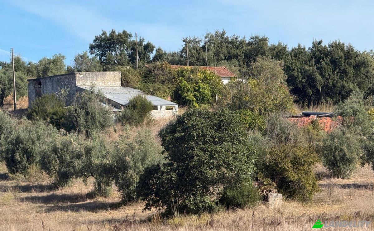 Granja/Rancho en venta Sao Vicente do Paul, Santarem, Santarem District, Portugal. Foto 5