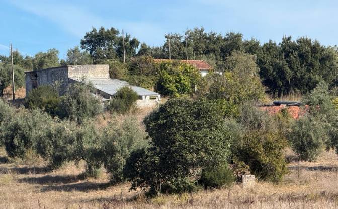 Granja/Rancho en venta Sao Vicente do Paul. Foto#5