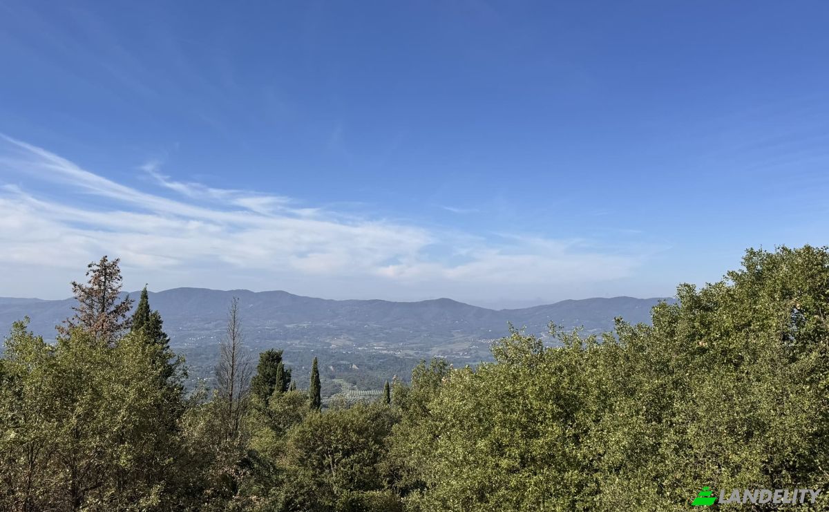 Вілла продаж Localita Piani, 69D, 50066 Reggello FI, Reggello, Metropolitan City of Florence, Tuscany, Italy. Фото 9