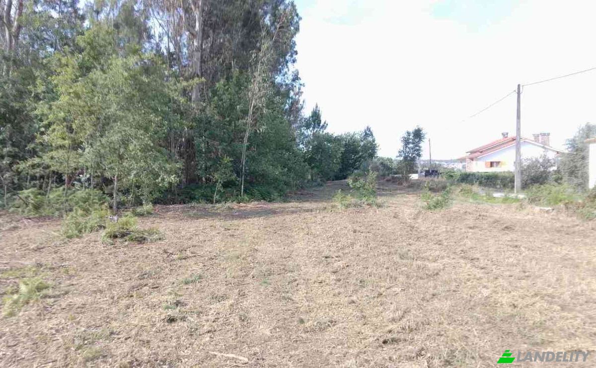 Investissement/Développement à vendre Lugar de Naia EN 2, 3460-012 Tondela, Tondela, Viseu District, Portugal. Photo 7