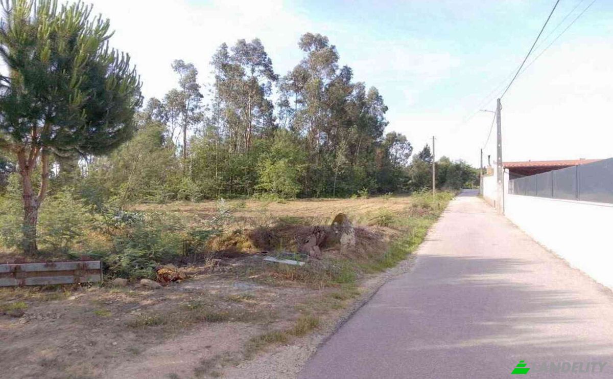 Investissement/Développement à vendre Lugar de Naia EN 2, 3460-012 Tondela, Tondela, Viseu District, Portugal. Photo 8