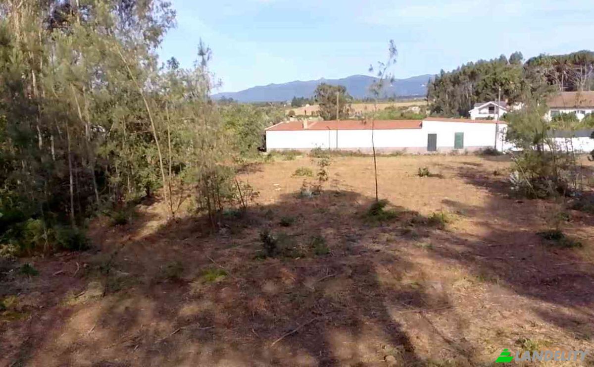 Investissement/Développement à vendre Lugar de Naia EN 2, 3460-012 Tondela, Tondela, Viseu District, Portugal. Photo 5