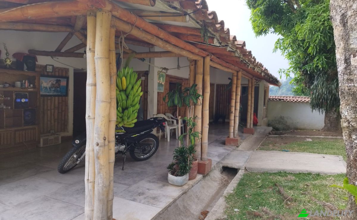 Compartilhamento de tempo à venda Puente Iglesias, Fredonia, Antioquia, Colombia. foto 16