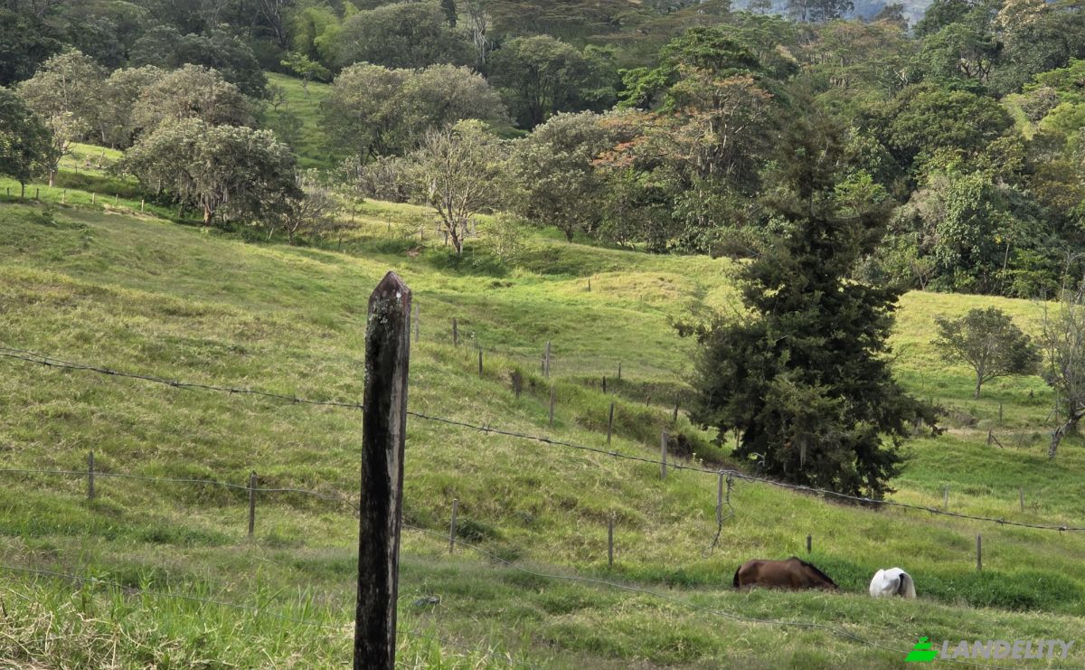 Compartilhamento de tempo à venda Puente Iglesias, Fredonia, Antioquia, Colombia. foto 2