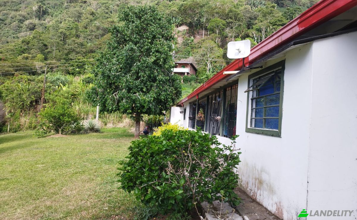 Compartilhamento de tempo à venda Puente Iglesias, Fredonia, Antioquia, Colombia. foto 8