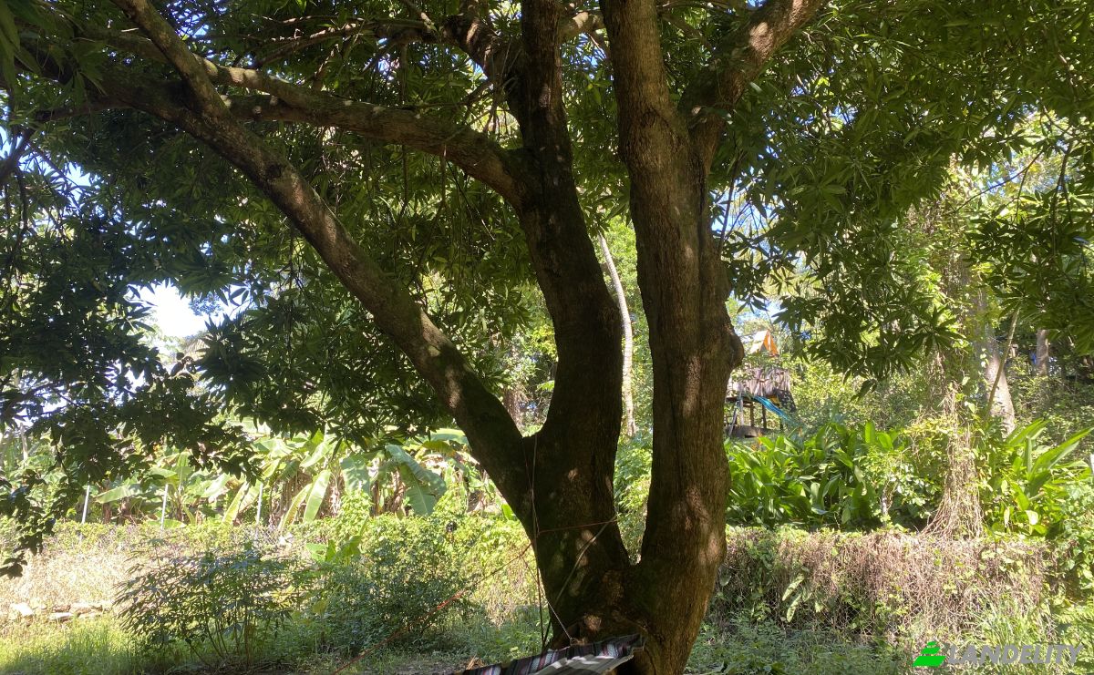 Lotto di terreno in vendita Carretera Principal, Sandy Bay, Islas de la Bahia, West End, Roatan, Bay Islands Department, Honduras. Foto 4