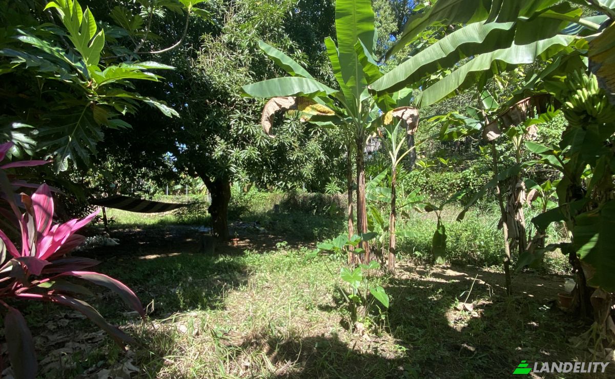 Lotto di terreno in vendita Carretera Principal, Sandy Bay, Islas de la Bahia, West End, Roatan, Bay Islands Department, Honduras. Foto 5