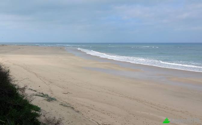 Land/Lot for Sale Ebersohn St, Paradise Beach. Photo#3