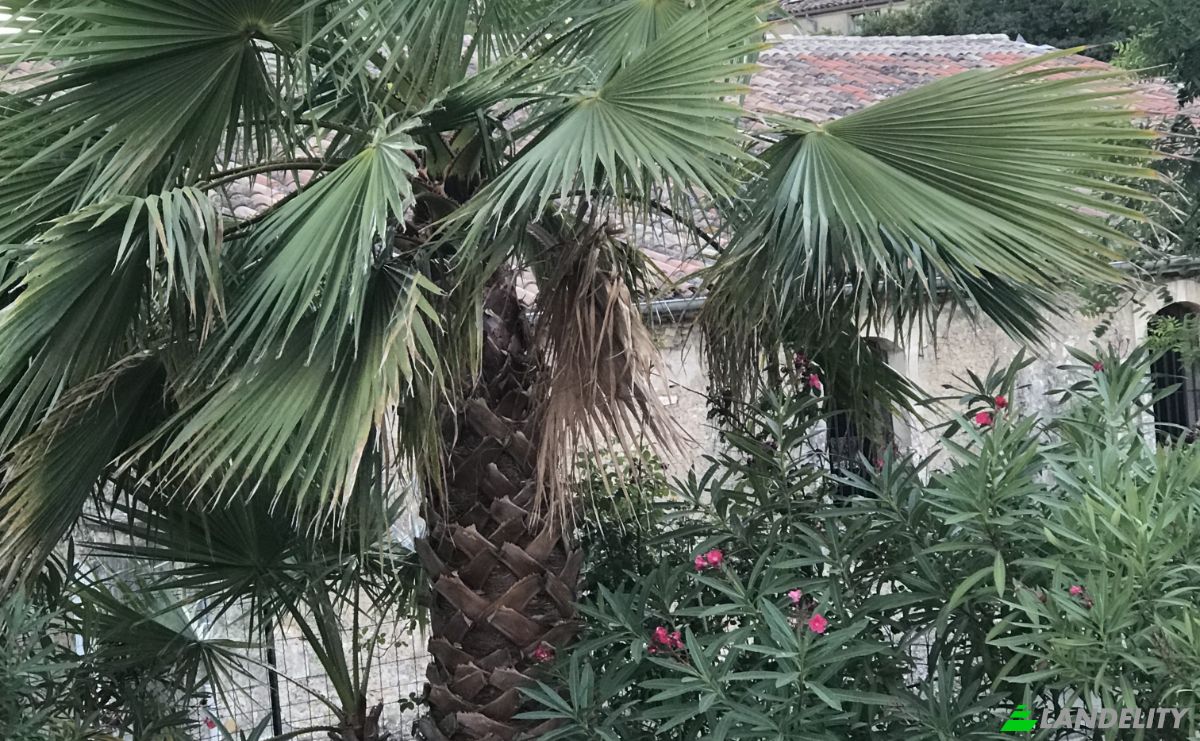 Dom jednorodzinny na sprzedaż 1 Av de Saint-Bauzille de la Sylve, 34230 Popian, Popian, Herault, Occitanie, France. Zdjęcie 10