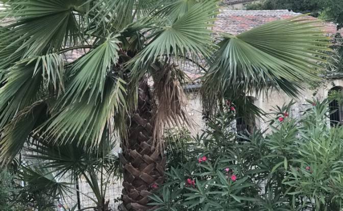 Einfamilienhaus zu verkaufen 1 Av de. Foto#10 Einfamilienhaus zu verkaufen 1 Av de. Foto#10