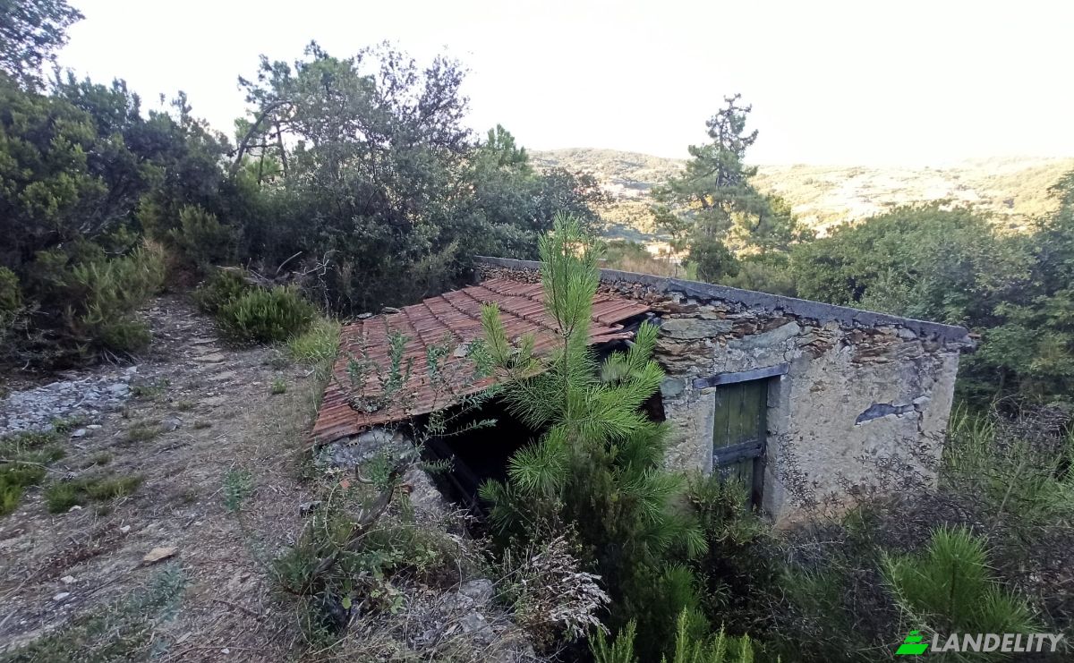 Склад продаж Via Ferro, 43-41, 17020 Tovo San Giacomo SV, Tovo San Giacomo, Province of Savona, Liguria, Italy. Фото 2
