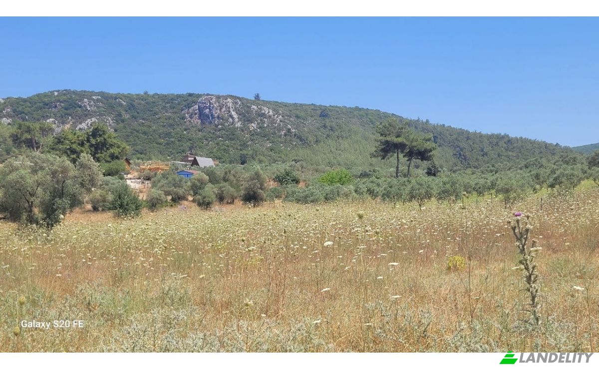 Investeren/Ontwikkelen Te koop Cile, Ova Sk, 35470 Menderes Izmir, Menderes Izmir, Menderes, Izmir, Turkiye. Foto 15