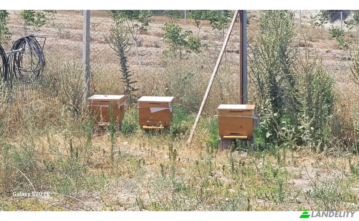 Investeren/Ontwikkelen Te koop Cile, Ova Sk, 35470 Menderes Izmir, Menderes Izmir, Menderes, Izmir, Turkiye. Foto 11