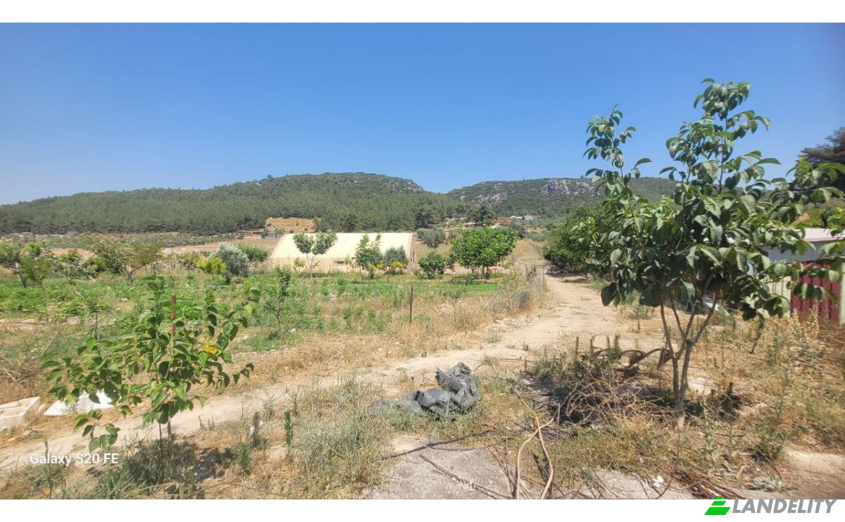Investeren/Ontwikkelen Te koop Cile, Ova Sk, 35470 Menderes Izmir, Menderes Izmir, Menderes, Izmir, Turkiye. Foto 13