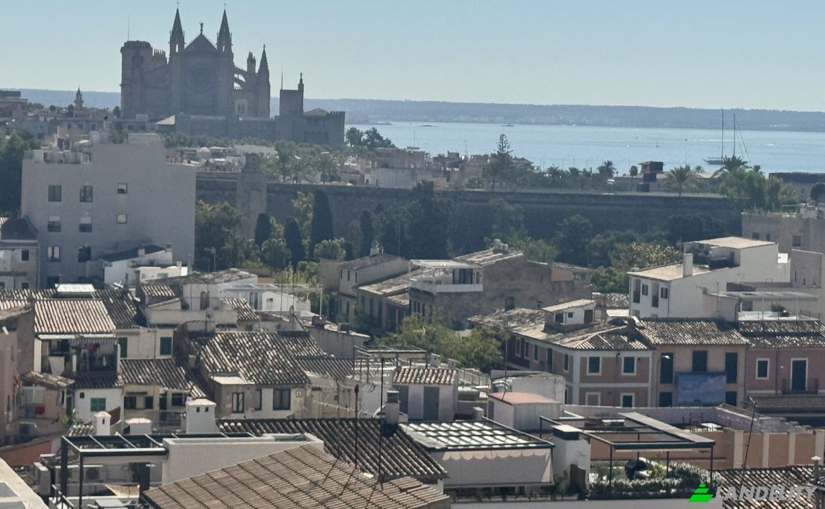 Appartement Te koop Carrer de Cotoner, Ponent, Palma, Illes Balears, Balearic Islands, Spain. Foto 14