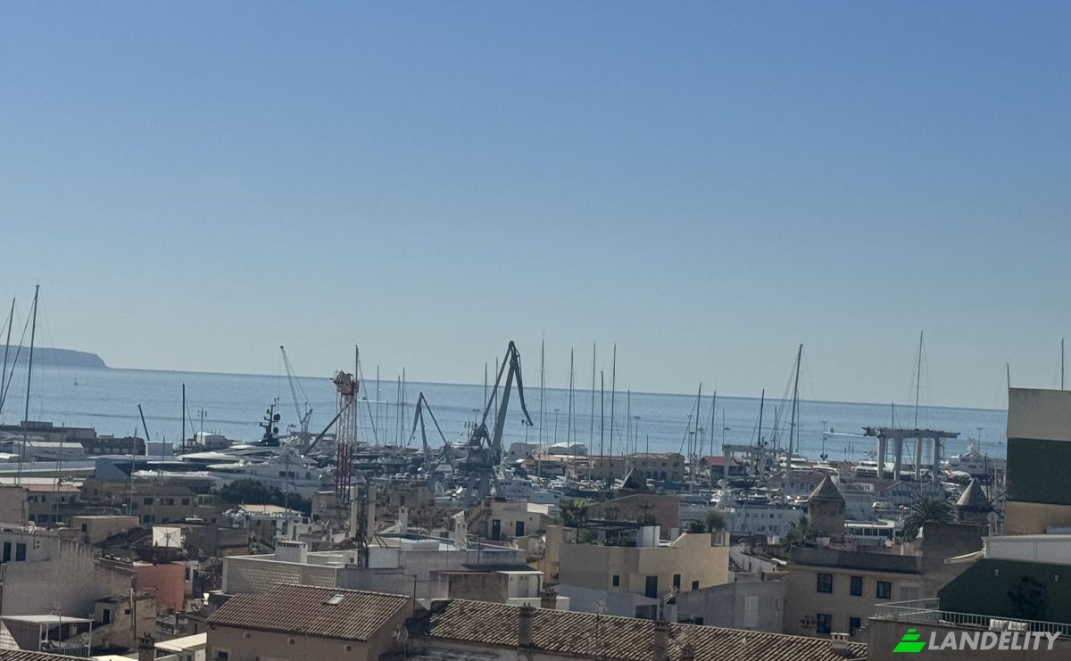 Appartement Te koop Carrer de Cotoner, Ponent, Palma, Illes Balears, Balearic Islands, Spain. Foto 15
