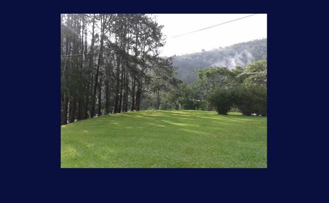Granja/Rancho en venta R Harry Bertel, 312, Penedo. Foto#2