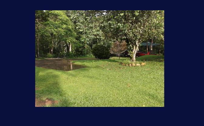 Granja/Rancho en venta R Harry Bertel, 312, Penedo. Foto#3