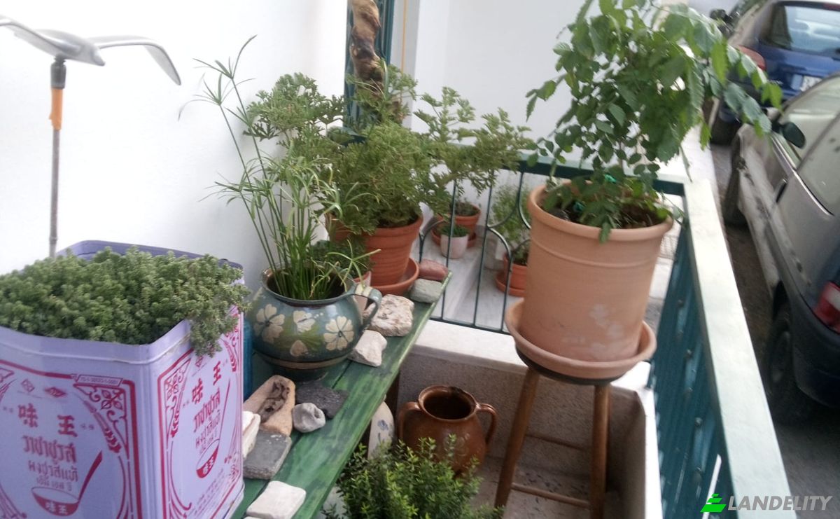 Rijtjeshuis Te koop Ellopos 6, Chalkida 341 00, Chalcis, Central Greece, Decentralized Administration of Thessaly and Central Greece, Greece. Foto 5