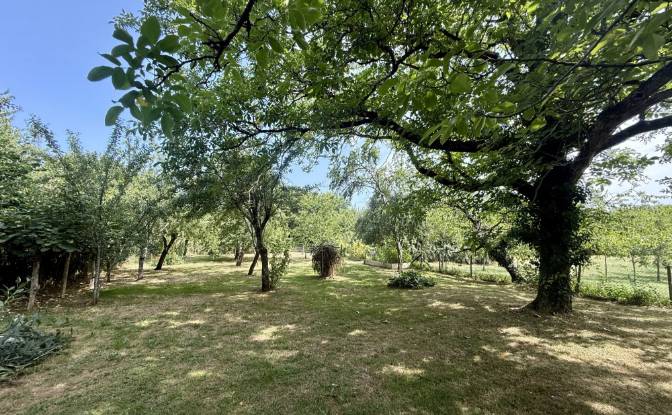 Maison unifamiliale à vendre - Corgnac-sur-l'Isle, France