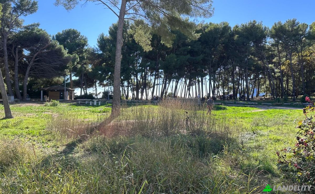 Appartement Te koop 10 All des Eucalyptus, 83430 Saint-Mandrier-sur-Mer, Saint-Mandrier-sur-Mer, Var, Provence-Alpes-Cote dAzur, France. Foto 4