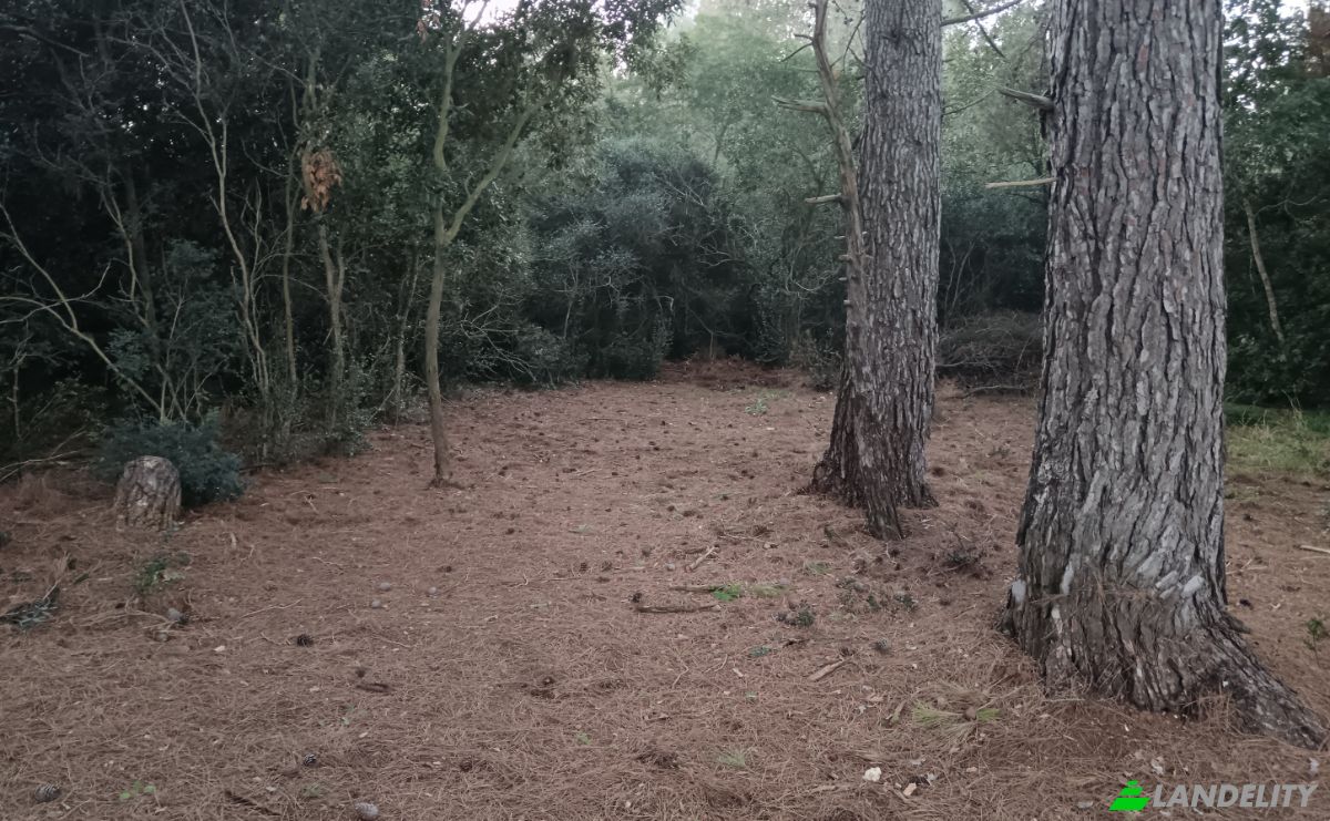 Lote de terreno en venta Runjacica 1A, 52100, Premantura, Opcina Medulin, Istria County, Croatia. Foto 2