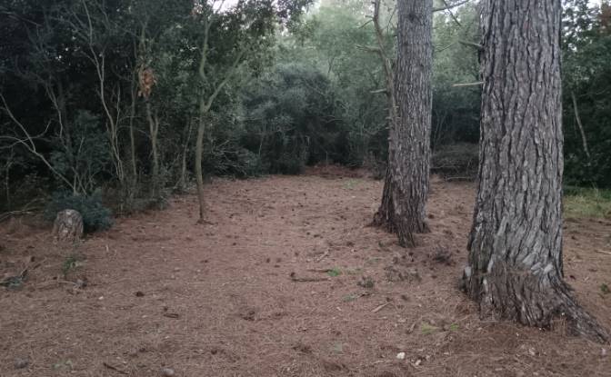 Lote de terreno en venta Runjacica 1A, 52100. Foto#2 Lote de terreno en venta Runjacica 1A, 52100. Foto#2