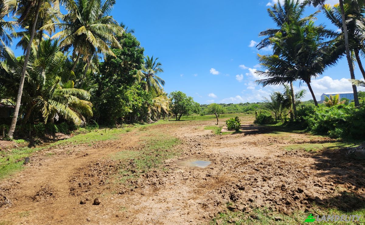Grondperceel Te koop Ussangoda, Hambantota, Southern Province, Sri Lanka. Foto 1