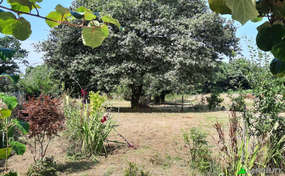 Grondperceel Te koop 4 Quenicouche, 56450 Surzur, Surzur, Morbihan, Brittany, France. Foto 19