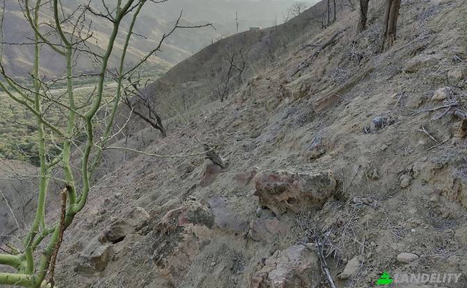 Land/Lot for Sale Carr Barrancos, 24560, Barrancos. Photo#11 Land/Lot for Sale Carr Barrancos, 24560, Barrancos. Photo#11