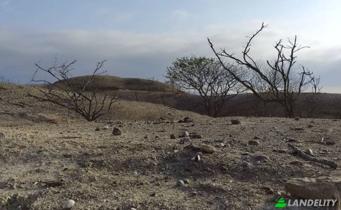 Land/Lot for Sale Carr Barrancos, 24560, Barrancos. Photo#9 Land/Lot for Sale Carr Barrancos, 24560, Barrancos. Photo#9