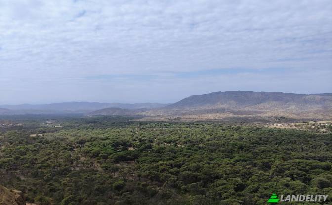 Land/Lot for Sale Carr Barrancos, 24560, Barrancos. Photo#3 Land/Lot for Sale Carr Barrancos, 24560, Barrancos. Photo#3