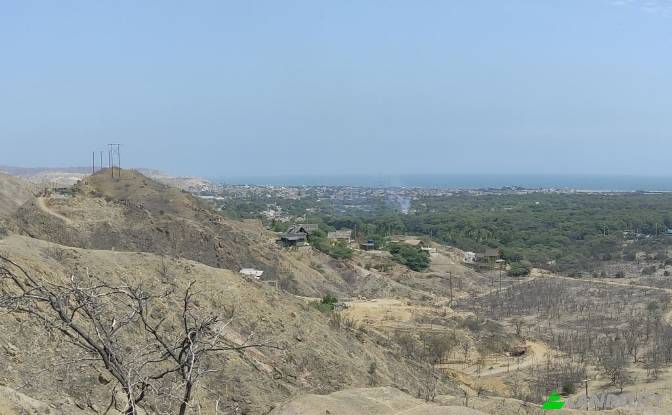 Land/Lot for Sale Carr Barrancos, 24560, Barrancos. Photo#5 Land/Lot for Sale Carr Barrancos, 24560, Barrancos. Photo#5