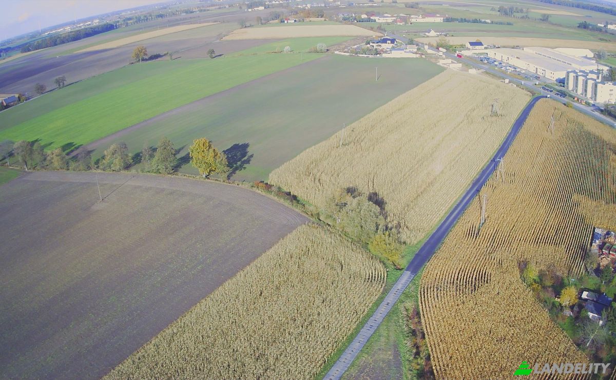 Lote de terreno en venta 5 Stycznia 82a, 64-330 Opalenica, Urbanowo, Nowy Tomysl County, Greater Poland Voivodeship, Poland. Foto 8