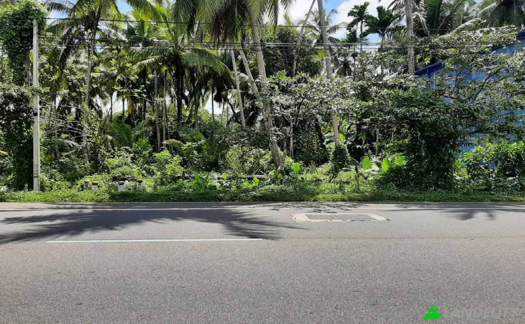 Земля/Ділянка продаж Kotapitiya, Dharga Town, Kalutara, Western Province, Sri Lanka. Фото 2