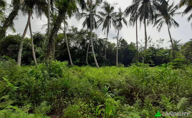 Земля/Ділянка продаж Kotapitiya, Dharga Town. Фото#3
