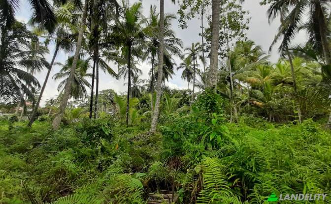Земля/Ділянка продаж Kotapitiya, Dharga Town. Фото#4