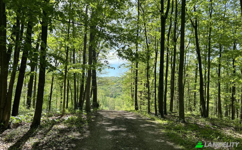 Land/Lot for Sale 23250 Brown Rd, South Bloomingville, OH 43152, USA, BLOOMINGVIL, Hocking County, Ohio, United States. Photo 4